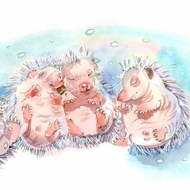 Ежата подрастают