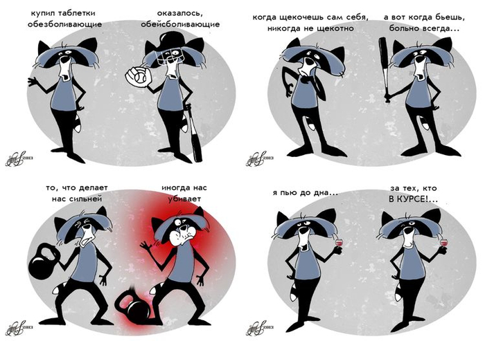 Енот Иссидор-1