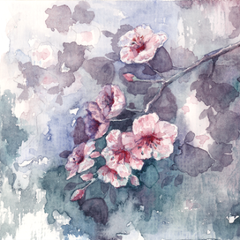 Postcrossing: Вишня