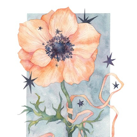 Анемона и звезды