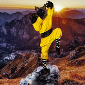 Шаулинькэт