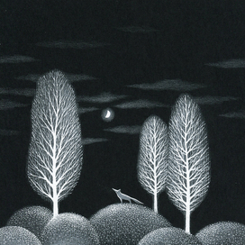 Ночная лисичка