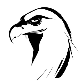 «Обманчивый орел» – январь