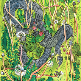 Опасное лето