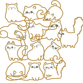 Линейные котики