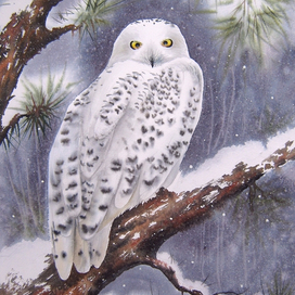 Полярная сова