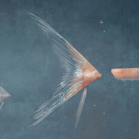 Случай на рыбалке