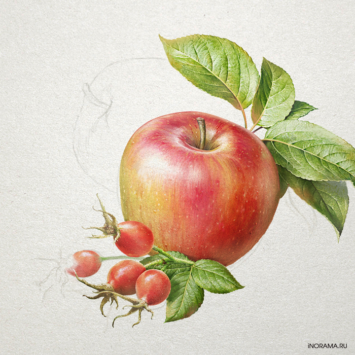 Яблоко/шиповник