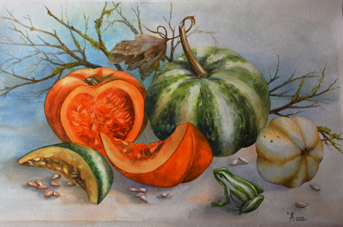 тыквы 1