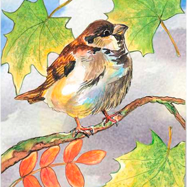 Вот и осень