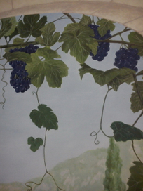 Виноградная лоза