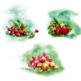 элементы иллюстрации для упаковки 