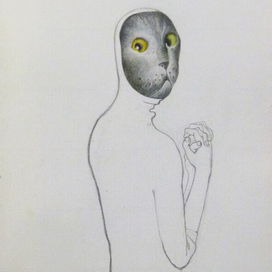 температурка