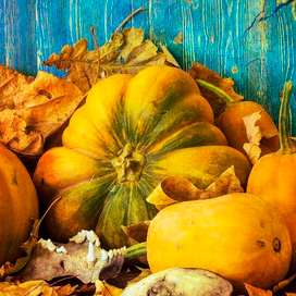 Осенний натюрморт с мертвячинкой