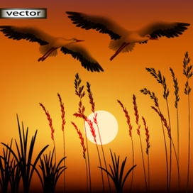 Домой летят 