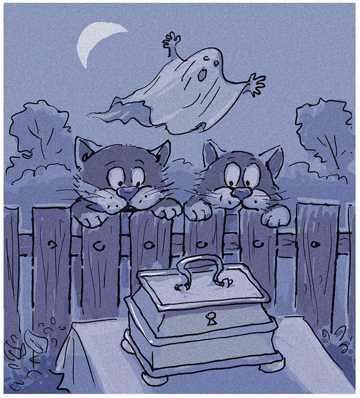  ИДМ. Е.. Малинкина Тайна шкатулки с привидением