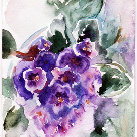 этюд фиалки