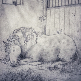 Утро в деннике