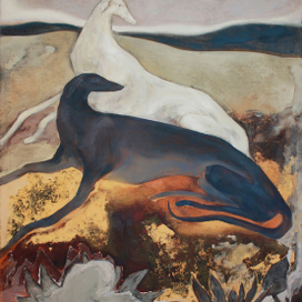 Собаки в пустыне 