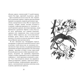 Птица-носорог