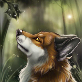 Утро в лесу