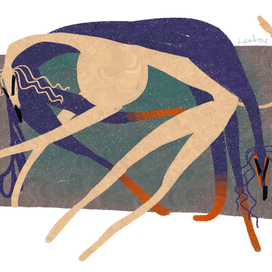 Спящие салюки