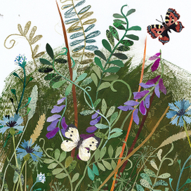 Полевые цветы