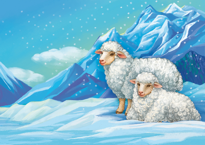 Овечки. Зима.