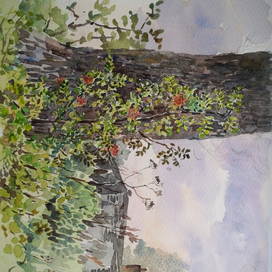 сказки леса 4