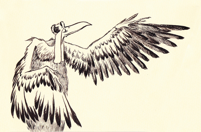 Желтая птица