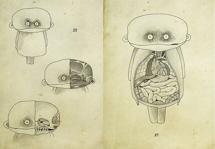 Анатомия персонажа.Фрагмент