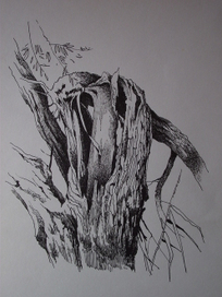 Расщепленное дерево