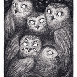 Древние совы