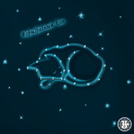 Призрачный кот 