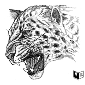 Дальневосточный леопард