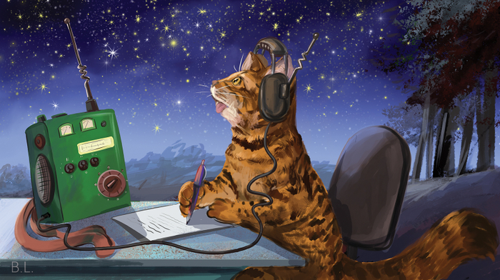 иллюстрация для книги “Секреты старого кедра” Кузнецовой Светланы