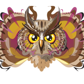 Совушка СОВА