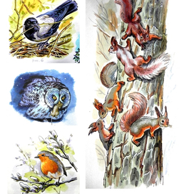 Для журнала "Юный натуралист"