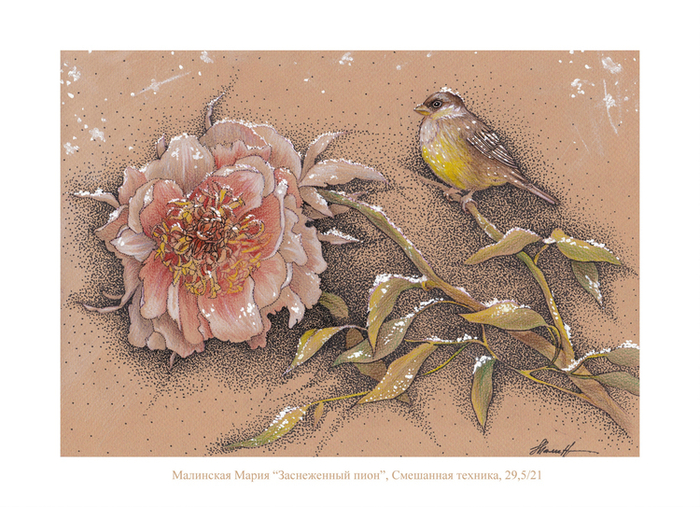 Заснеженный пион