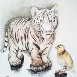 Тигренок и цыпа