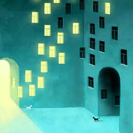 Ночные окна