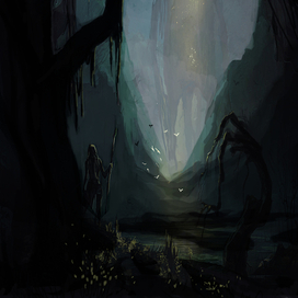 Таинственные джунгли 