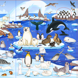 Животные Арктики