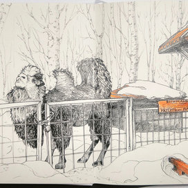 для скетчпроекта (путеводитель по музею смерти и крематорию)