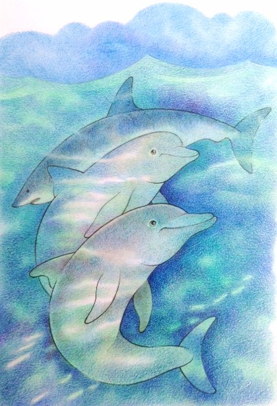 Дельфины