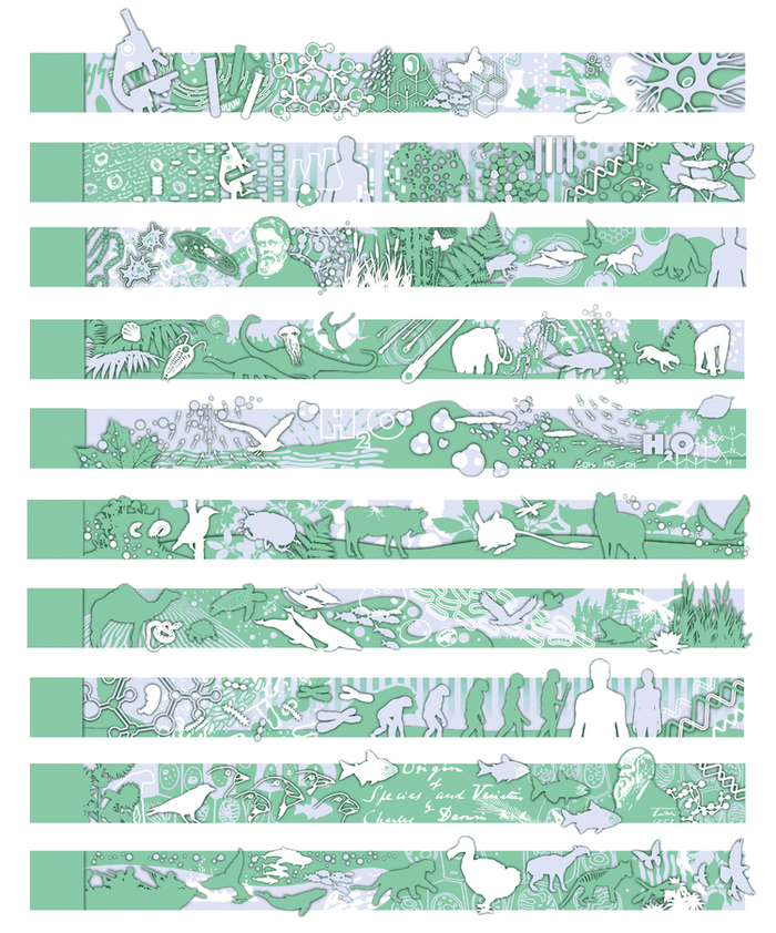 колонтитулы (биология) (biology textbook headers) 2014