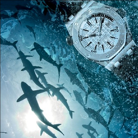 Diving watch