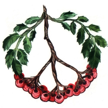 (три варианта пацифика)