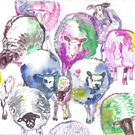 SHEEP MULTICOLOUR