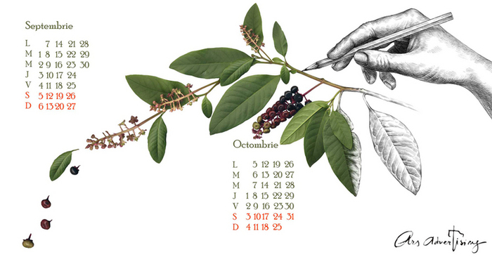страницы календаря